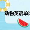 動物英語單詞大全1（動物英語單詞大全）