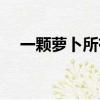 一顆蘿卜所有小說名字（一顆蘿卜小說）