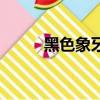 黑色象牙塔第二季（黑色象牙塔）