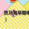 賈乃亮早期電視劇大全（賈乃亮第一部電視劇）