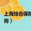 上海綜合保險查詢個人賬戶（上海綜合保險查詢）