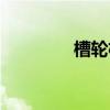 槽輪機構簡圖（槽輪機構）