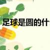 足球是圓的什么事都可能發生（足球是圓的）