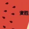 安勝浩和張佑赫（安勝浩）