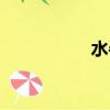 水牛城雞翅（水牛城）