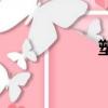塑膠花廠（塑膠花）