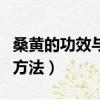 桑黃的功效與作用及食用方法（林蛙油的食用方法）