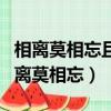 相離莫相忘且行且珍惜這句話是什么意思（相離莫相忘）