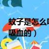 蚊子是怎么吸血的放大1000倍（蚊子是怎么吸血的）