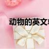 動物的英文單詞50個（動物的英文單詞）