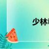 少林拳簡介20字（少林拳）