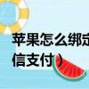 蘋果怎么綁定微信支付app（蘋果怎么綁定微信支付）