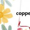 copper是什么意思（copter）