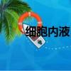 細胞內液占體液的多少（細胞內液）