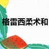 格雷西柔術和巴西柔術的區別（格雷西柔術）