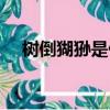 樹倒猢猻是什么意思（猢猻是什么意思）