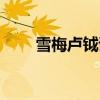 雪梅盧鉞詩帶拼音意思（雪梅盧鉞）