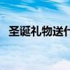 圣誕禮物送什么給女生（圣誕禮物送什么）