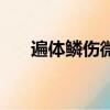 遍體鱗傷微笑（遍體鱗傷還笑著原諒）