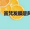笛梵發膜是阿瑪尼的什么香味（笛梵發膜）