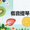 低音提琴是移調樂器嗎（低音提琴）
