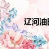 遼河油田 待遇（遼河油田待遇）
