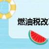 燃油稅改革案例分析（燃油稅改革）