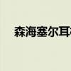 森海塞爾耳機怎么配對（森海塞爾耳機）