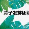 蒜子發芽還能不能吃（蒜子發芽還能吃嗎）