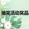 抽獎活動獎品買什么好（抽獎獎品買什么好）