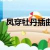 鳳穿牡丹插曲琵琶語曲譜（鳳穿牡丹插曲）
