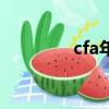 cfa年薪是多少（cfa年薪）
