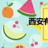 西安有情天吧（西安有情天）