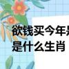 欲錢買今年是什么生肖2023年（欲錢買今年是什么生肖）