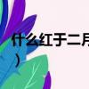 什么紅于二月花霜葉紅于二月花（紅于二月花）