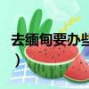 去緬甸要辦些什么手續（去緬甸要辦哪些手續）
