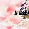 茅臺出廠價2023（茅臺出廠價）