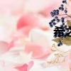 希之光界面劑（希之光）