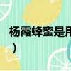 楊霞蜂蜜是用什么做的（楊霞土蜂蜜是真的嗎）