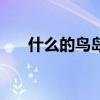 什么的鳥島填合適詞語（什么的鳥島）