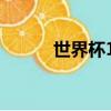 世界杯16強名單（世界杯16強）
