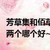 芳草集和佰草集兩個哪個好（芳草集和佰草集兩個哪個好~）