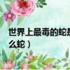世界上最毒的蛇是什么蛇圖片的名字（世界上最毒的蛇是什么蛇）