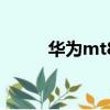 華為mt800b（huawei mt800）