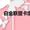 白金聯盟卡定向流量有多少（白金聯盟卡）