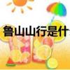 魯山山行是什么體裁（魯山山行是歌行體嗎）