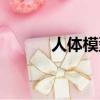 人體模型的英文（模型的英文）