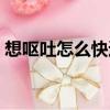 想嘔吐怎么快速緩解（想嘔吐怎么快速制止）