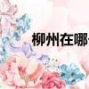 柳州在哪個省份哪個市（柳州在哪）