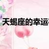 天蝎座的幸運花是什么花（天蝎座的幸運花）